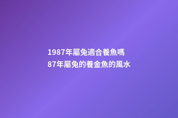 1987年屬兔適合養魚嗎 87年屬兔的養金魚的風水-第1張-觀點-玄機派